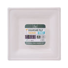 DISPOSABLE PLATE L 10PC PACK IR H-16