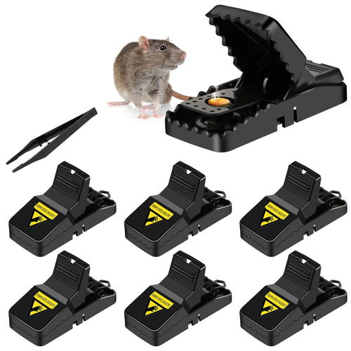 Home.co- Mouse Trap