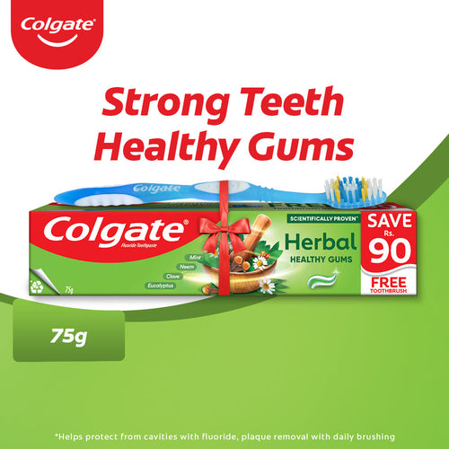Colgate - Herbal Toothpaste 75g - Brush Pack