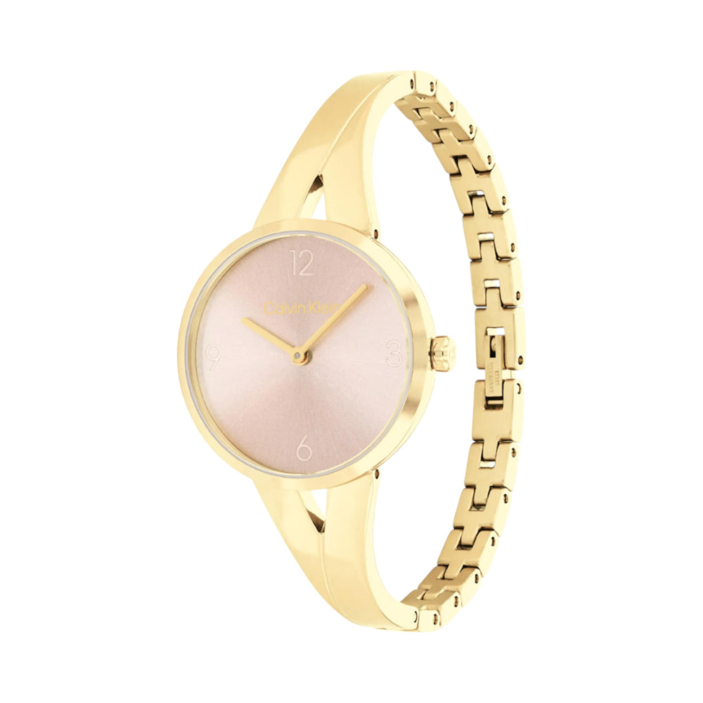 CALVIN KLEIN WATCH CK25100027