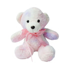 10147 SOFT BEAR COLORFULL 20CM