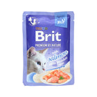 BRIT PREMIUM CAT JELLY (SALMON)  85G