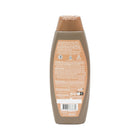 PALMOLIVE SHAMPOO VOLUME COCONUT 2IN1 380 ML