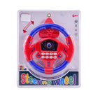 SW-01 STEERING WHEEL