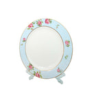 PLATE DINNER 10.5INCH ROYAL BISTRO P-810 BASIC