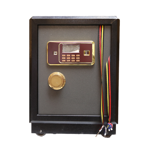 ELECTRIC SAFE IR D-560