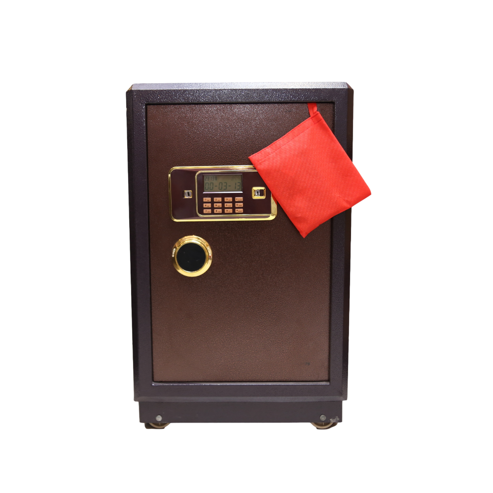 ELECTRIC SAFE IR D-720