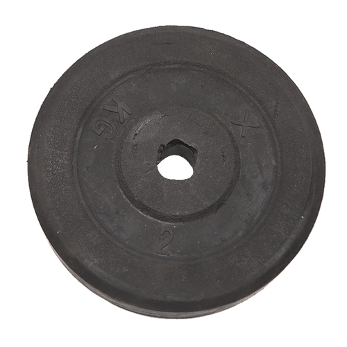 RUB CTD WEIGHT PLATE 2 KG