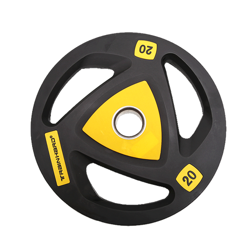 EXERCISE PLATES 20 KG EACH IR LM-0963