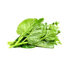 ZEEZ GARDEN MALABAR SPINACH.