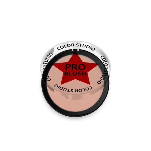 Color Studio - Pro Blush - 231 Aztec