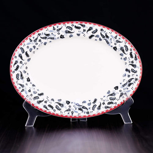 DISH CLAYTON 411FA BASIC