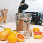 SAGE CITRUS PRESS BCP600SIL