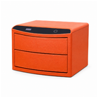 ELECTRIC SAFE IR 123-2