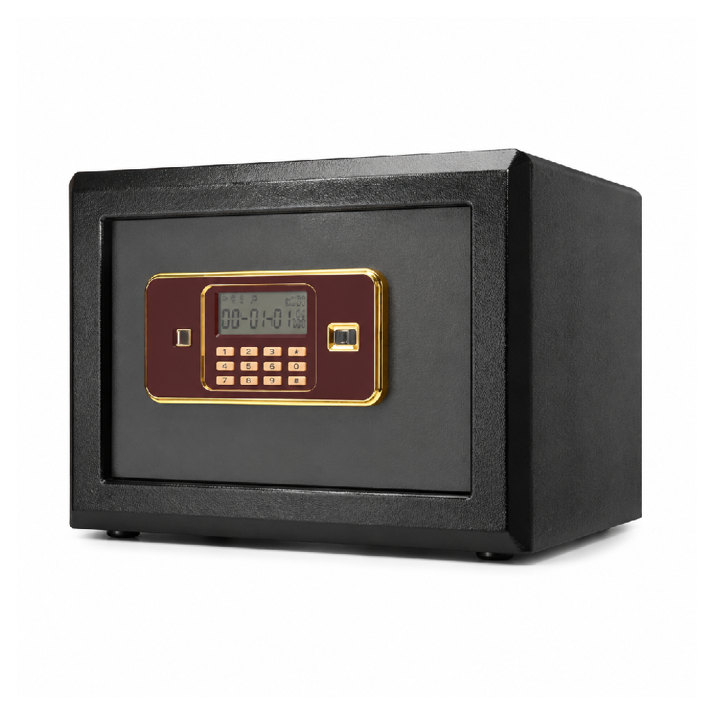 ELECTRIC SAFE D-310 BASIC