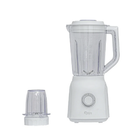 RAYS BLENDER BL250WP