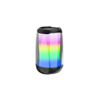 Bluetooth Portable Speaker - ZIDLI D1