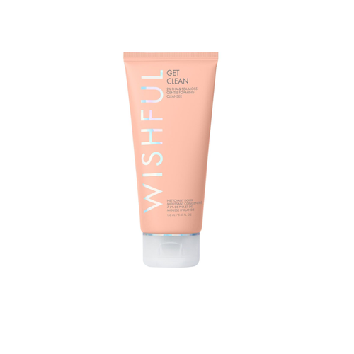 WISHFUL GET CLEAN 2% PHA SEA MOSS GENTLE FOAMING CLEANSER 15