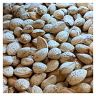 ALMOND ABDUL WAHDI WO SHELL LOOSE