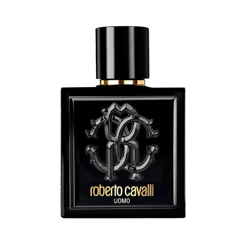 ROBERTO CAVALLI UOMO M EDT 100 ML 100 ML