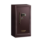 ELECTRIC SAFE IR FDG-A1/D-60LR BASIC