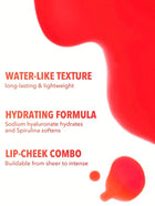 Shein Sheglam - For the Flush Lip & Cheek Tint-Cherry Picked