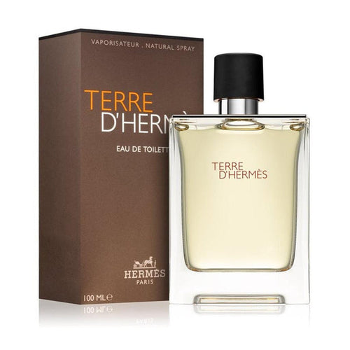 Terre D Hermes - Edt 100ml