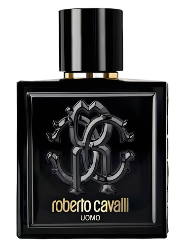 Roberto Cavali - Uomo Men Edt 100ml