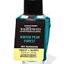 Bath & Body Works Winter Pear Forest Wallflower Refills 24ml
