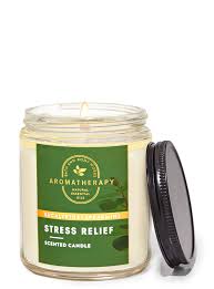 Bath & Body Works - Eucalyptus Spearmint Single Wick Candles 198g