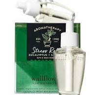 Bath & Body Works Eucalyptus Spearmint Wallflower Refills Duo Pack