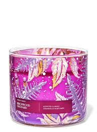 Bath & Body Works - Birchwood Orchard 3 Wick Candles 414gms
