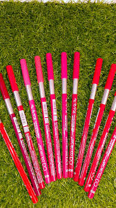 Pack Of 12 Lipliner Set – Long Lasting Smooth Finish